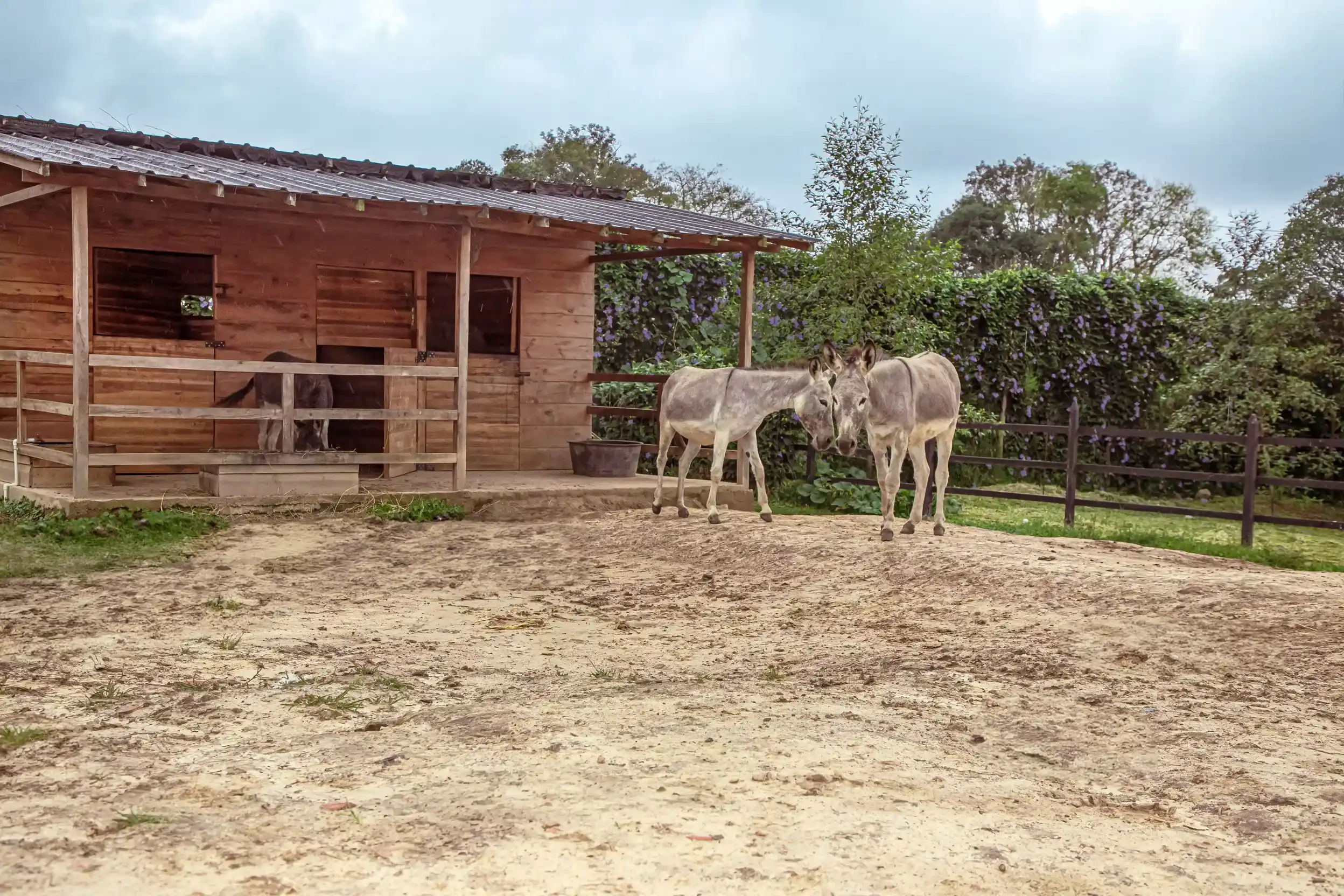 galeria espacios