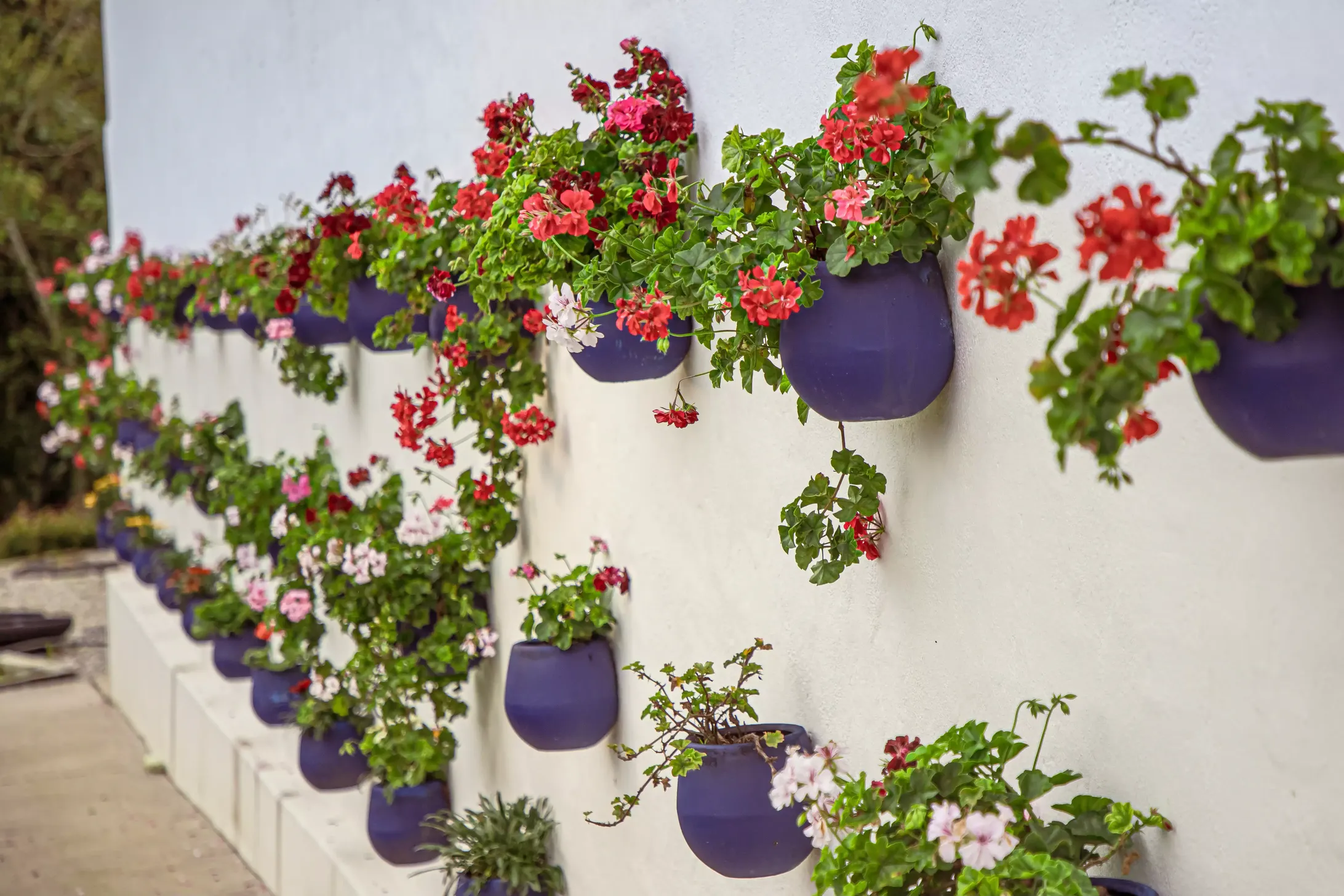 espacios header
