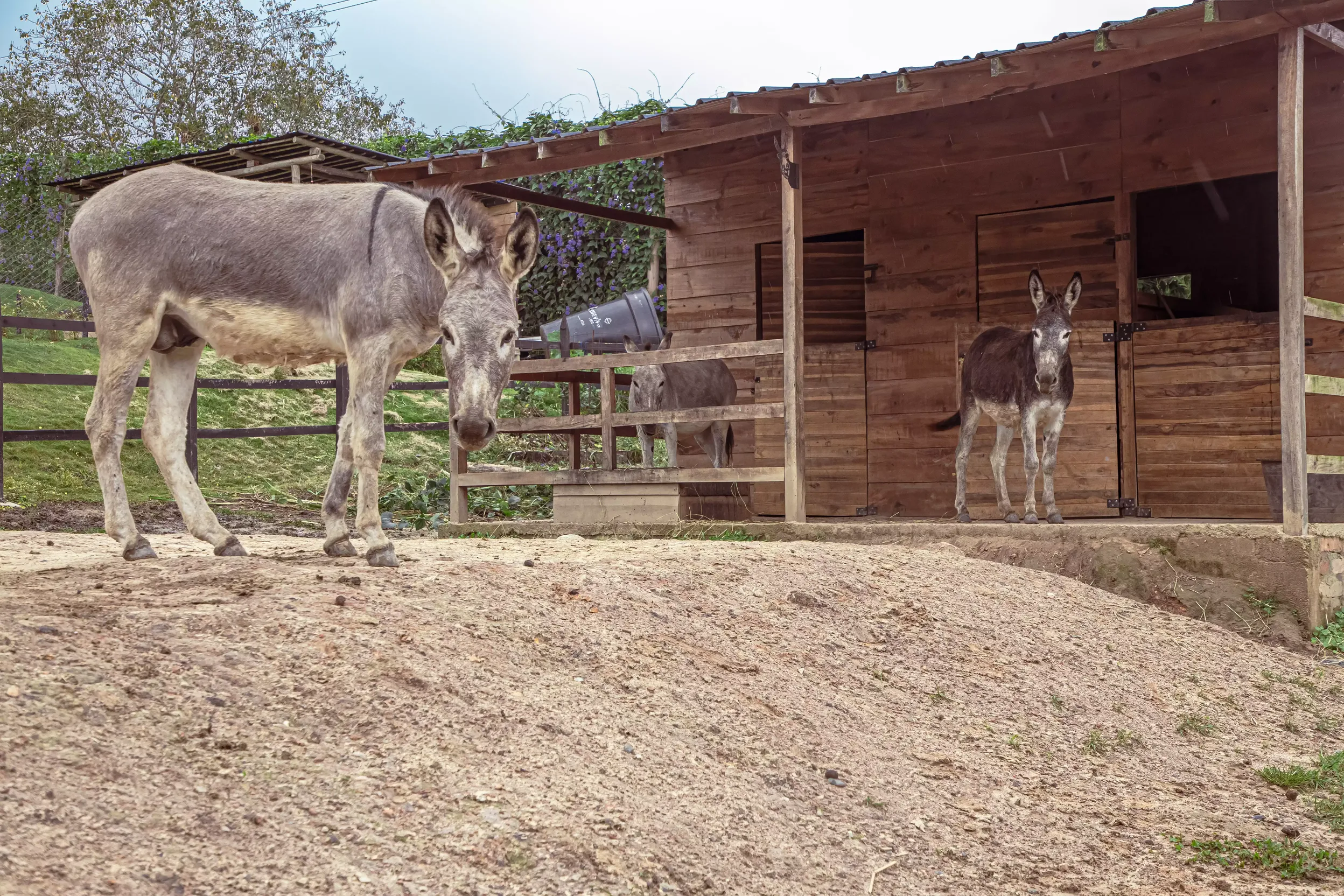 espacios header